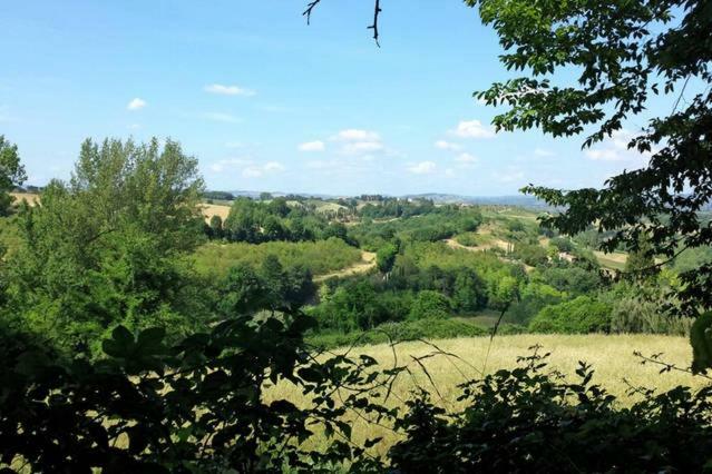 Nel Chianti Lungo La Francigena Apartment Коле Вал д'Елза Екстериор снимка