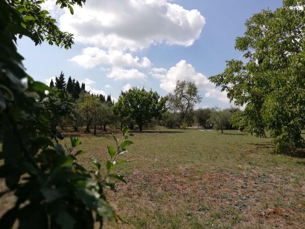 Nel Chianti Lungo La Francigena Apartment Коле Вал д'Елза Екстериор снимка