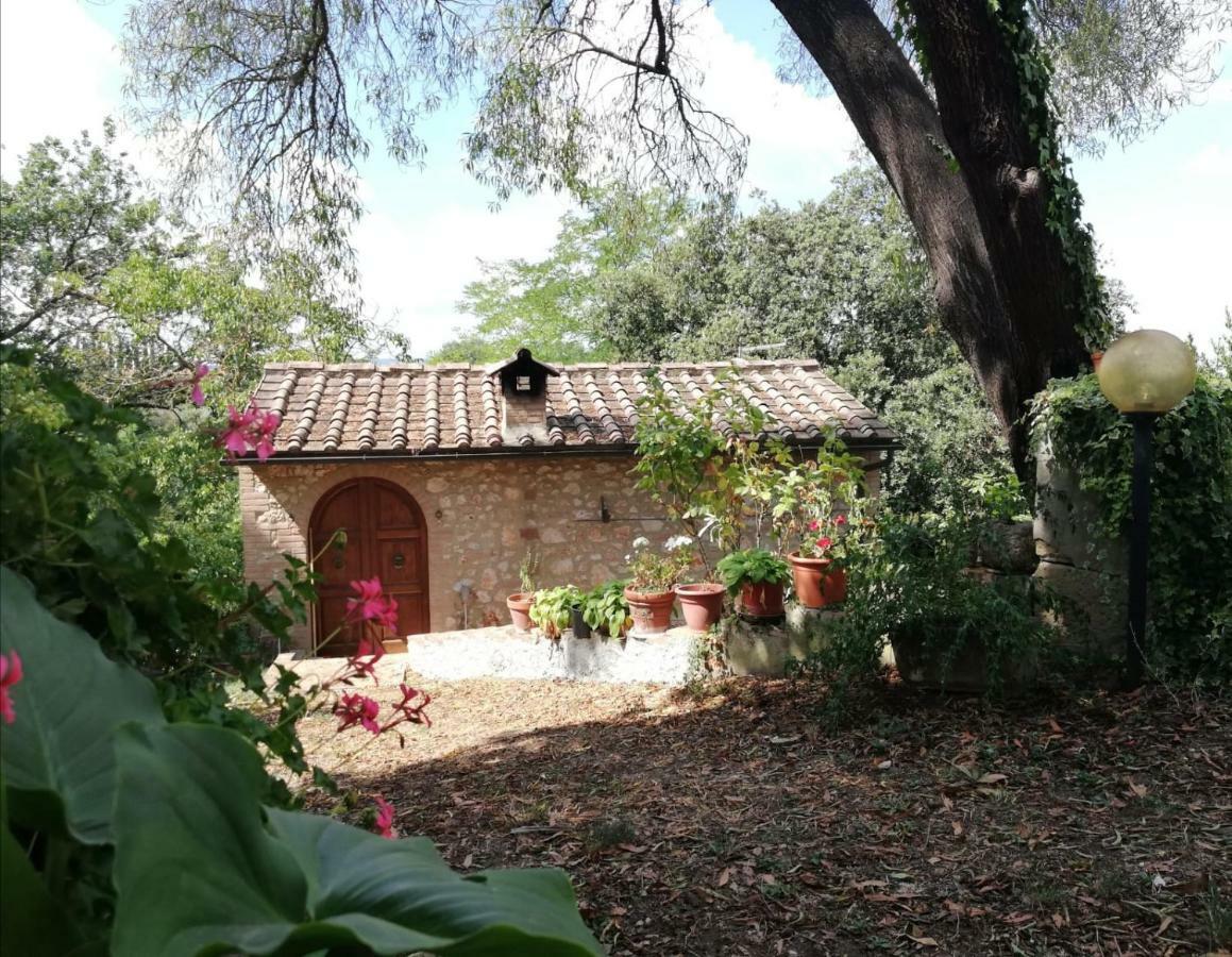 Nel Chianti Lungo La Francigena Apartment Коле Вал д'Елза Екстериор снимка