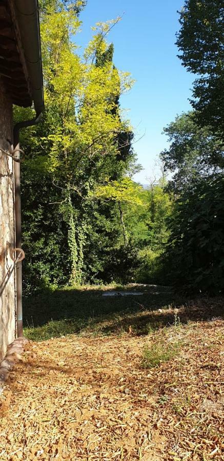 Nel Chianti Lungo La Francigena Apartment Коле Вал д'Елза Екстериор снимка