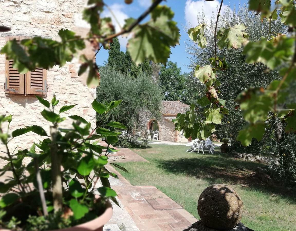 Nel Chianti Lungo La Francigena Apartment Коле Вал д'Елза Екстериор снимка