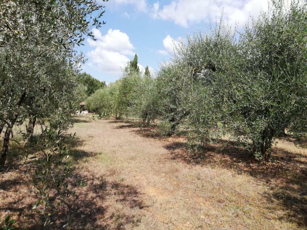 Nel Chianti Lungo La Francigena Apartment Коле Вал д'Елза Екстериор снимка